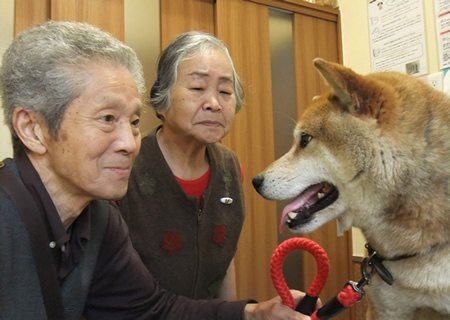 高齢者と犬1