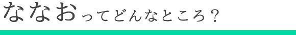 ななおってどんなところ？