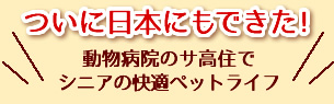 ついに日本にもできた！動物病院のサ高住でシニアの快適ペットライフ
